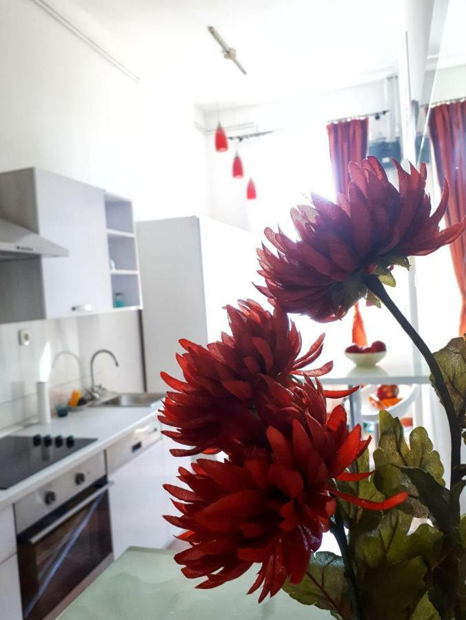 Apartment Zrinjevac Zágráb Kültér fotó